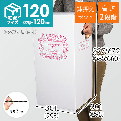 フラワーギフト 発送BOX（鉢押えセット）【宅配120サイズM】の説明動画