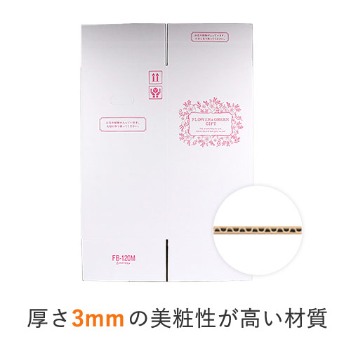 フラワーギフト 発送BOX（鉢押えセット）【宅配120サイズM】