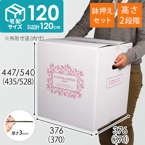 フラワーギフト 発送BOX（鉢押えセット）【宅配120サイズL】