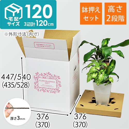 フラワーギフト 発送BOX（鉢押えセット）【宅配120サイズL】