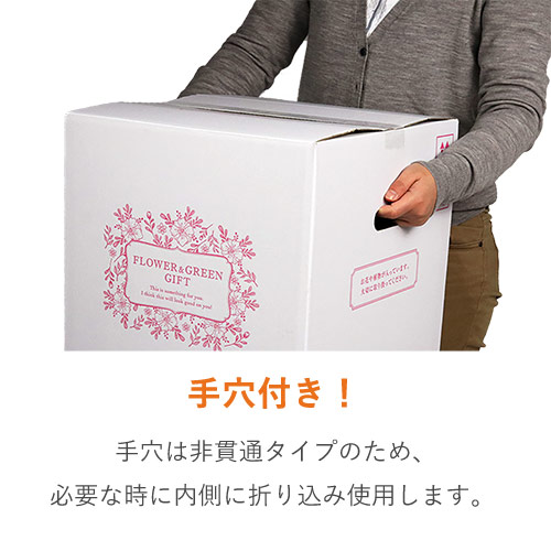 フラワーギフト 発送BOX（鉢押えセット）【宅配120サイズL】