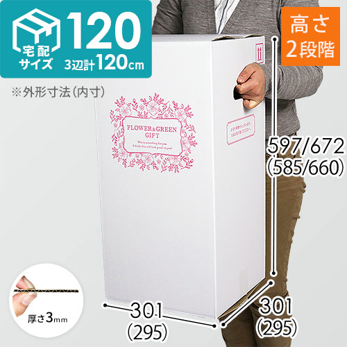 【宅配120サイズ】フラワーギフトBOX（M・外箱のみ）