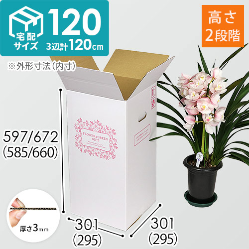 【宅配120サイズ】フラワーギフトBOX（M・外箱のみ）