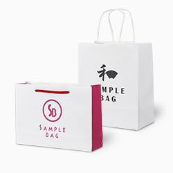 オリジナル印刷紙袋(1色印刷・晒クラフト紙・OPニス・幅220×マチ65×高さ330mm・アクリル丸紐(青)・23営業日)