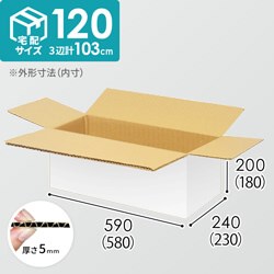【専用】100サイズ 先入れ 専用】100サイズ 先入れ カインズ 100サイズ 高さ調節できる段ボール M