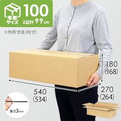タン様ご購入 4974050056125_01.jpg