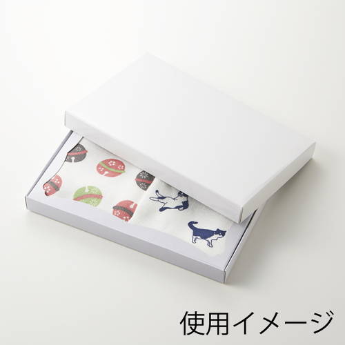 ハンカチ化粧箱（白無地・身蓋・2枚用・光沢・裏ネズ・129×205×高20mm)