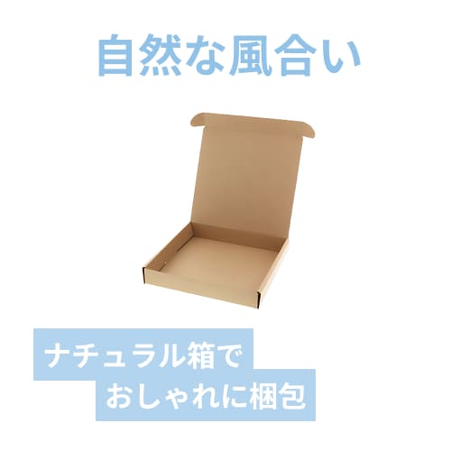 ナチュラルＢＯＸ（サイド差込・210×210×高35mm）