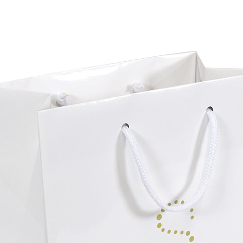 オリジナル印刷紙袋(1色印刷・コート紙・グロスPP・幅450×マチ120×高さ330mm・アクリル丸紐(緑)・短納期)