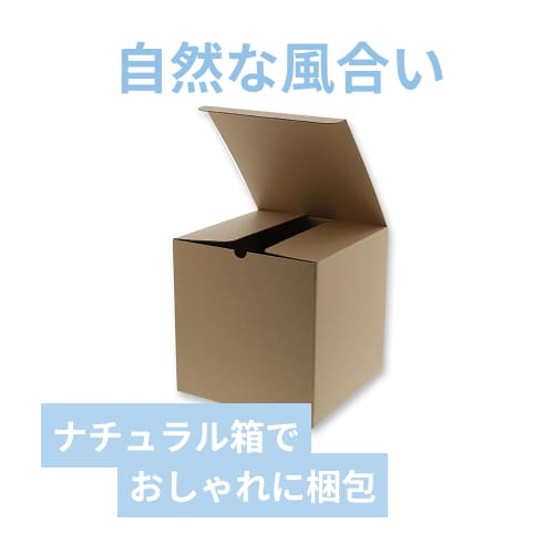 廃番商品】ナチュラルBOX（サック式・200×200×高200mm） | 梱包材