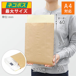 宅配袋 ワンポイント印刷 茶 外寸幅225×マチ25×高さ310+口折60mm　※底マチなし