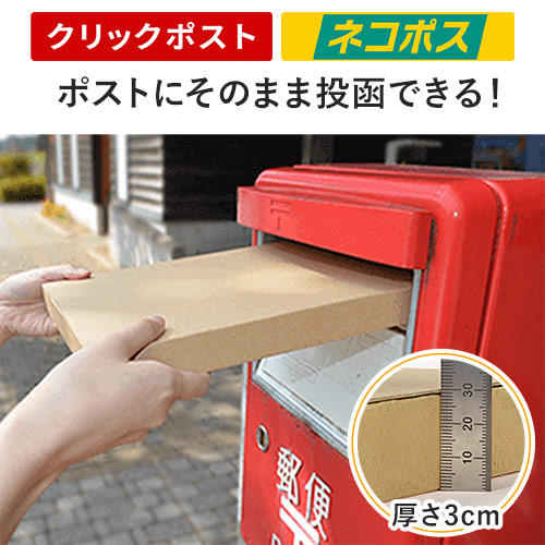 【最安特価】厚さ3cm・テープレスケース（ネコポス・クリックポスト）
