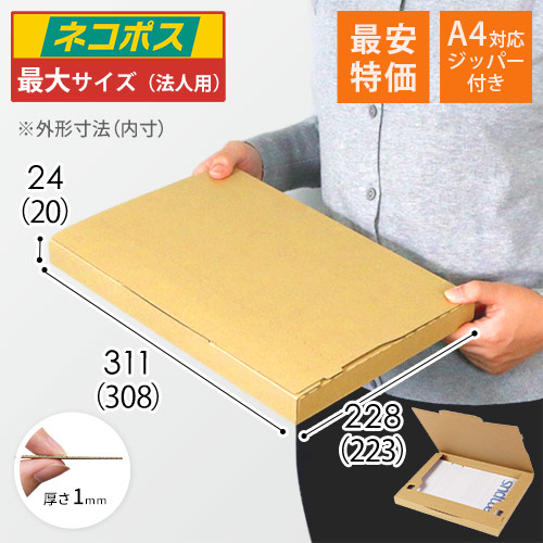 【最安特価】厚さ2.5cm・ジッパー付きケース（ネコポス最大・A4サイズ）