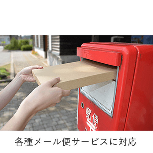 【最安特価】厚さ2.5cm・ジッパー付きケース（ネコポス最大・A4サイズ）