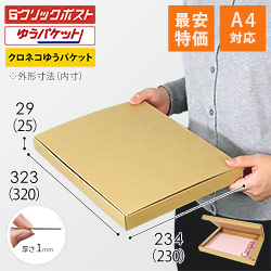 【最安特価】厚さ3cm・N式ケース（クリックポスト・ゆうパケット）