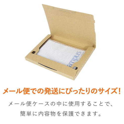 【廃番商品】エアキャップクリア 平袋 フラップあり 内粒（200×300+30mm）
