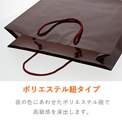 手提げ紙袋（エンジ ツヤあり・PP紐・幅225×マチ80×高さ320mm）
