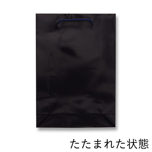 手提げ紙袋（紫紺/シコン ツヤあり・PP紐・幅225×マチ80×高さ320mm）