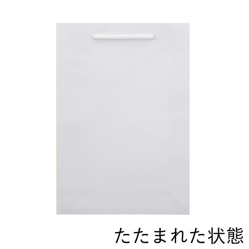 手提げ紙袋（白 ツヤあり・PP紐・幅225×マチ80×高さ320mm）