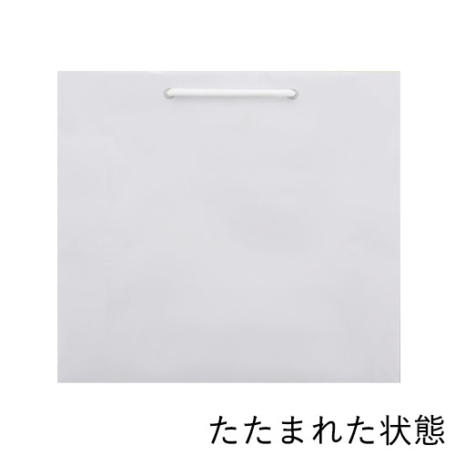 手提げ紙袋（白 ツヤあり・PP紐・幅330×マチ100×高さ300mm）