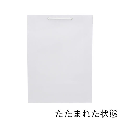 手提げ紙袋（白 ツヤあり・PP紐・幅330×マチ100×高さ450mm）