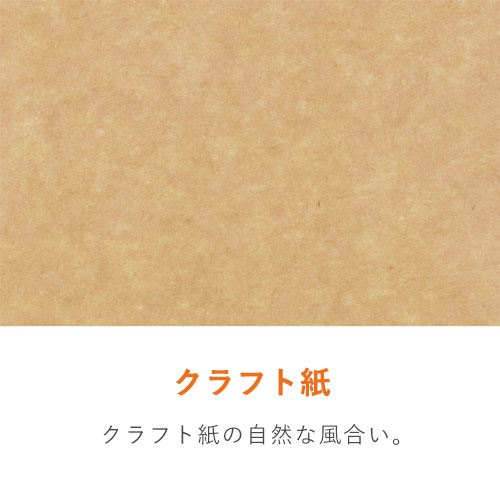 セイニチ ラミジップ クラフト チャック付きスタンド袋（120×180×底マチ35mm）