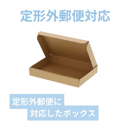 クラフトボックス（茶・N式（簡易）・165×115×27mm）