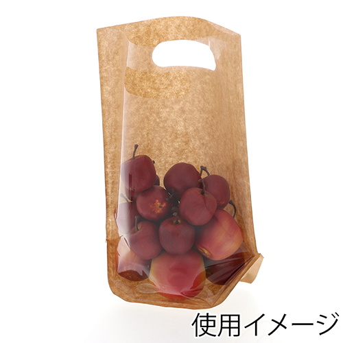 精工 手抜き (小判抜き)ガゼット袋 スタンドパック 40-2 100枚