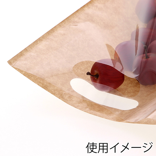 精工 手抜き (小判抜き)ガゼット袋 スタンドパック 40-2 100枚
