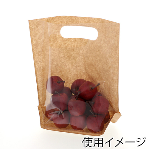 精工 手抜き (小判抜き)ガゼット袋 スタンドパック 40-3 100枚