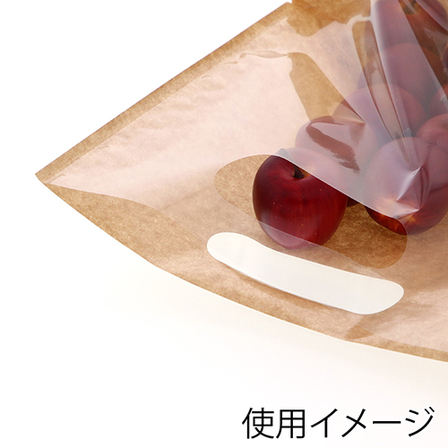 精工 手抜き (小判抜き)ガゼット袋 スタンドパック 40-3 100枚