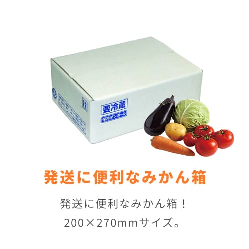 片面エコクールA式1