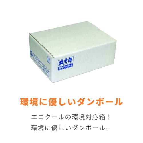 片面エコクールA式1