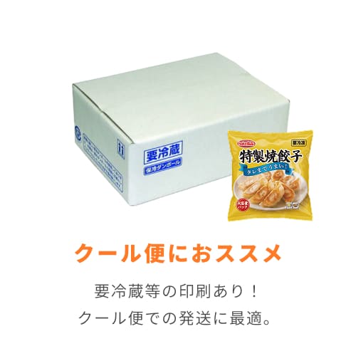 片面エコクールA式1