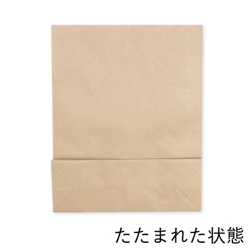 ワンポイント印刷紙袋(茶・平紐・幅320×マチ115×高さ400mm・片面印刷)