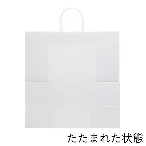 ワンポイント印刷紙袋(白・丸紐・幅450×マチ220×高さ455mm・片面印刷)