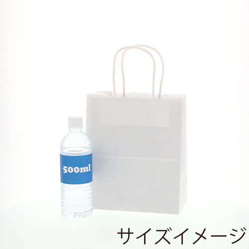ワンポイント印刷紙袋(白・丸紐・幅210×マチ120×高さ250mm・両面印刷)