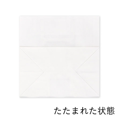 ワンポイント印刷紙袋(白・平紐・幅260×マチ160×高さ260mm・両面印刷)