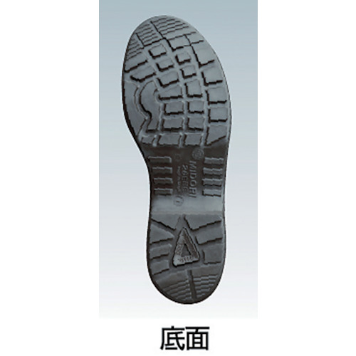 ミドリ安全 ウレタン２層底 安全靴 中編上 24.5cm CF12024.5