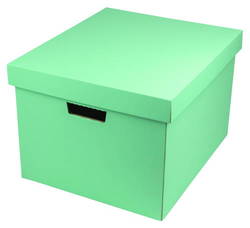 収納BOX（L） ミント