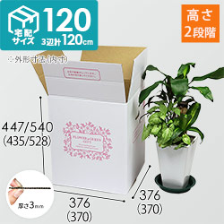 【宅配120サイズ】フラワーギフトBOX（L・外箱のみ）