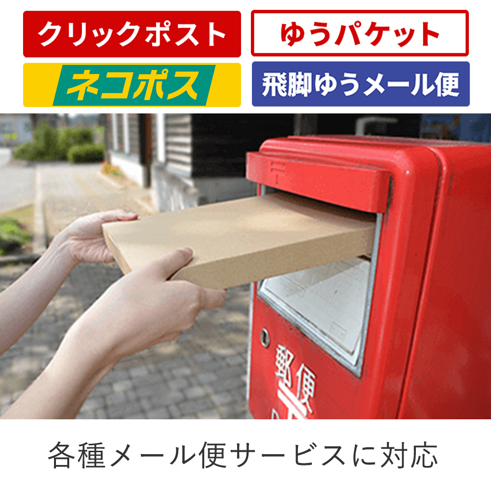 【ネコポス・クリックポスト】厚さ2.5cm・ヤッコ型ケース（B5サイズ）