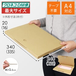 【クロネコDM便最大・ゆうパケット】A4厚さ2cm・テープレスケース