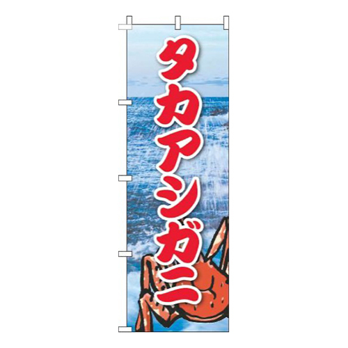 タカアシガニ写真海