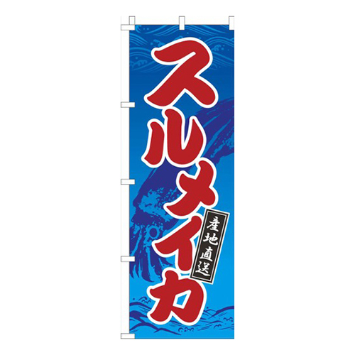 スルメイカ 青波