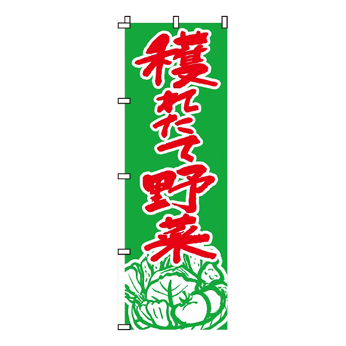 穫れたて野菜