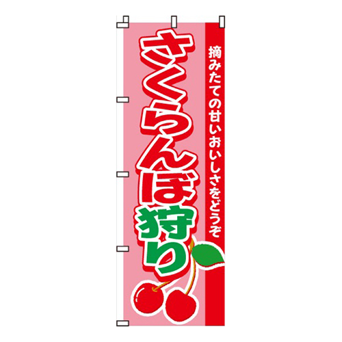 さくらんぼ狩り  