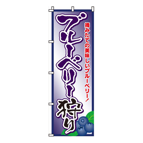 ブルーベリー狩り  