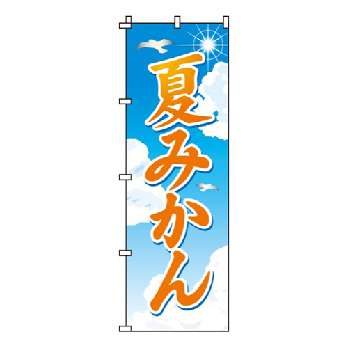 夏みかん太陽・鳥