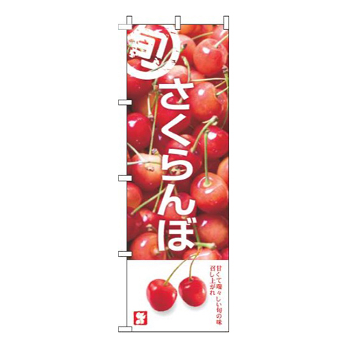 さくらんぼ写真白